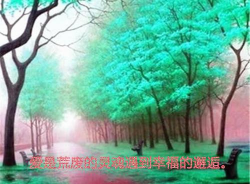 完结篇小说程桥北陈宁溪小说(程桥北陈宁溪)已更新+无删减（程桥北陈宁溪）无广告