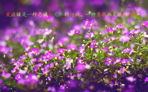 温知菱苏淮安小说章节目录 温知菱苏淮安免费阅读第5章