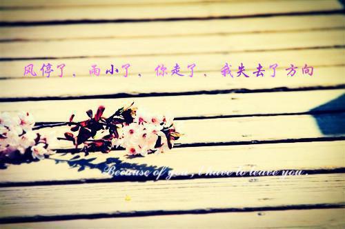 主角名是苏晚林忠全文免费阅读正版