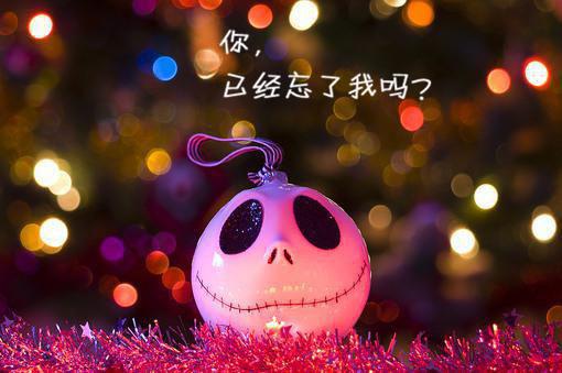 贺天野孟溪什么小说 贺天野孟溪全文免费阅读