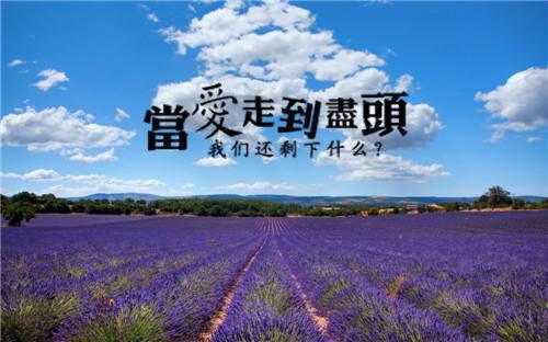 相思流年也成空：结局+番外（顾晚周时琛）最新章节列表_相思流年也成空：结局+番外（顾晚周时琛）全文+后续+结局在线阅读