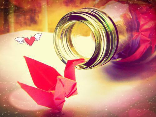 和闺蜜一起穿越古代，我不再阻止她做文抄公林婉苏青柔章节目录免费看