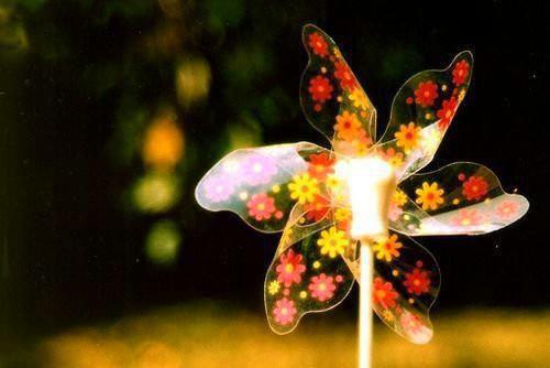 沈重白宛完整版 沈重白宛小说全文在线阅读