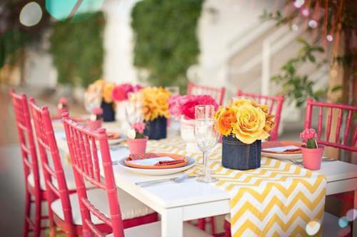 周缚野程向安小说免费阅读最新 或许余生爱恨消散完整版