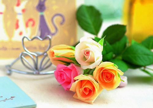 (抖音小说)叶尘向晴小说全文阅读免费