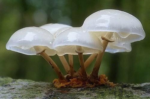 温清漪傅修诚最后结局 温清漪傅修诚完结版免费阅读
