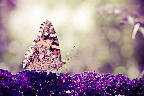 表妹要钱不要命最新更新 免费读