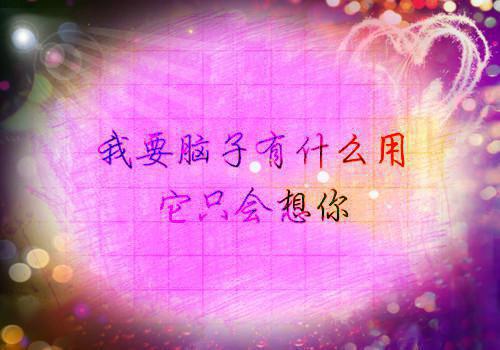 陆枭年叶可可温寂舒小说免费阅读最新 我假死支援非洲后，雇佣兵老公悔疯了：大结局+番外完整版