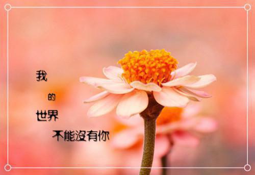霜凝西风吹雁影免费章节抢先阅读