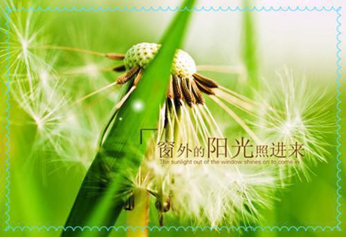 重生七零，只拿手术刀与军功章首发小说 石清月林霁山在线阅读