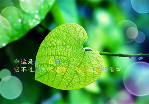 顾淮砚林晚舟大结局免费阅读 顾淮砚林晚舟全文小说