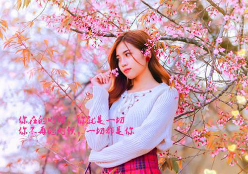 时光难待故人归月云娇安砚舟方婉宁免费章节试读