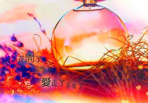 白芷李芸免费小说 白芷李芸完结版在线阅读