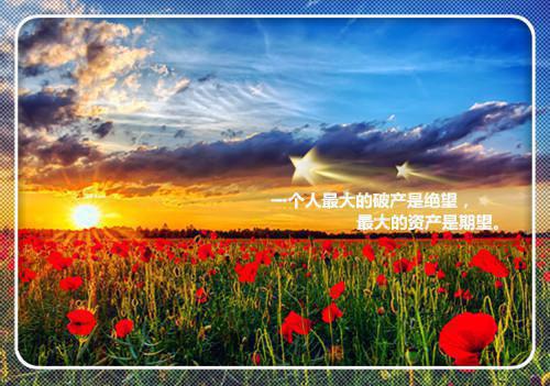 和小叔隐婚的第三年佚名 周诗诗赵宇沈逸尘瑶瑶小说