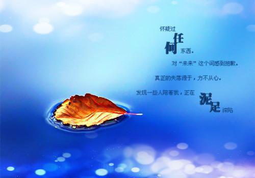 龙神归来，被七个未婚妻全球通缉！最新章节 夏如雪秦锋在线阅读