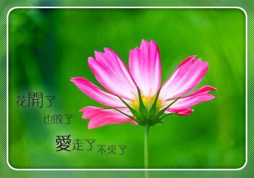 入骨还情(佚名)小说最新章节