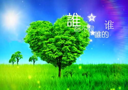 全文免费苏落涵秦尘野：结局+后续_苏落涵秦尘野：结局+后续全文免费