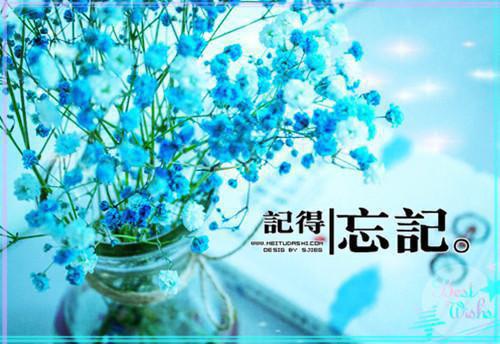 爱意难言不曾欢：结局+番外全文小说言欢程凛夜宁雪儿小说在线阅读