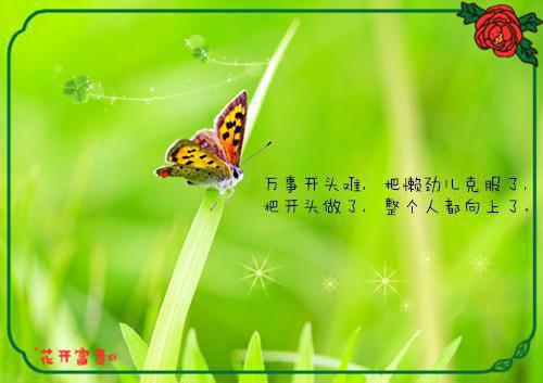 父母让我给真千金做实验品后悔疯张欢沈航完结小说全文在线阅读