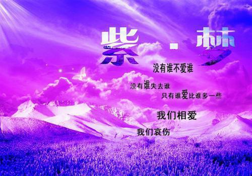 楚天骄林清雪免费全本小说 楚天骄林清雪章节目录