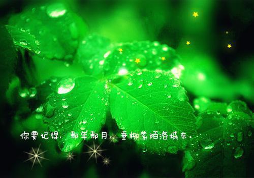 她的马奴免费阅读第5章 主角沈昭月裴霁舟