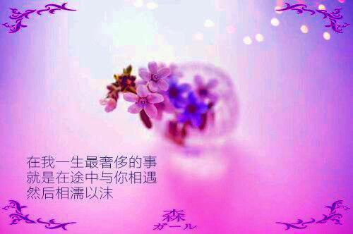 顾淮之沈如枝小说名字 替妹妹祭祀山神后，他却后悔了章节试读