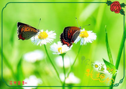 阮书禾江言旭免费全本小说 阮书禾江言旭章节目录