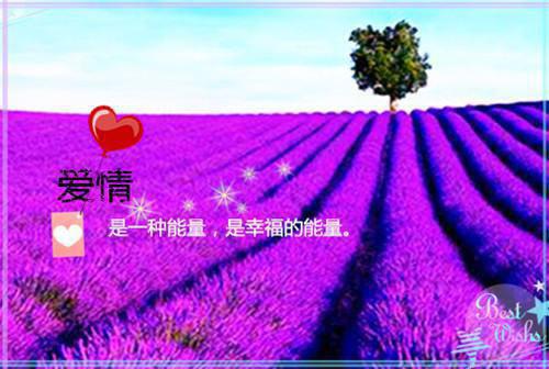 孟挽惜程南朝免费小说 孟挽惜程南朝完结版在线阅读