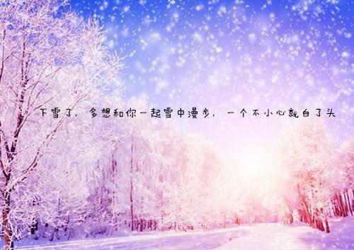 林宇飞崔明大结局免费阅读 林宇飞崔明全文小说