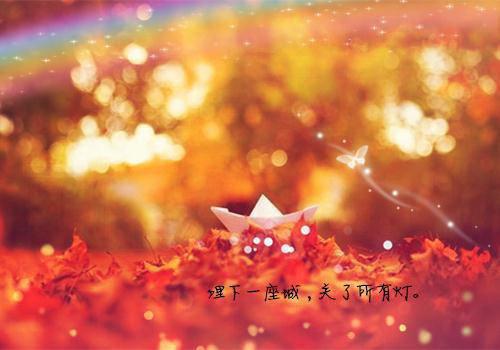 将爱丢弃：全书+后续最新小说（冯舒窈冷逸霄）全文阅读