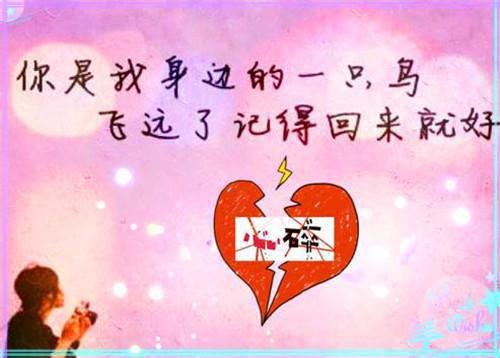 江夏瑶沈曦白完整未删减版在线阅读 江夏瑶沈曦白结局