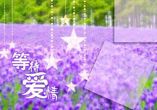 总裁老婆剥了弟弟的皮给白月光做围脖最新章节 白青昭林川在线阅读