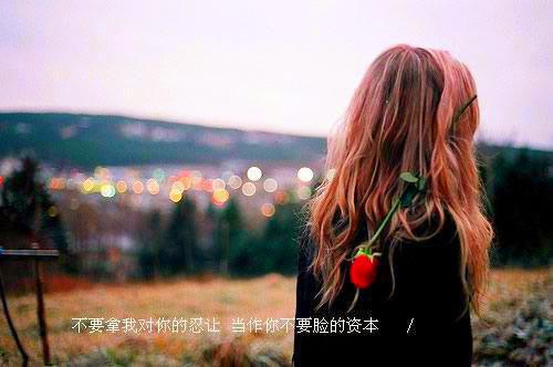 放弃选夫后,我成了万凰之王齐风谢之远小说在线阅读