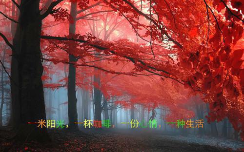 主角是蒋越王翎骆怡的小说免费阅读全文大结局