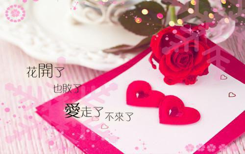 戚以桐顾翎安全文免费大结局 戚以桐顾翎安小说在线阅读