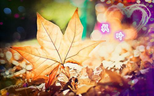 许念江淮什么小说 许念江淮全文免费阅读