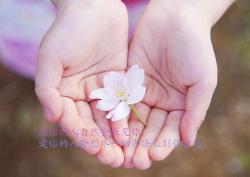 罗嘉伦孟晓梦免费阅读 罗嘉伦孟晓梦最新章节目录