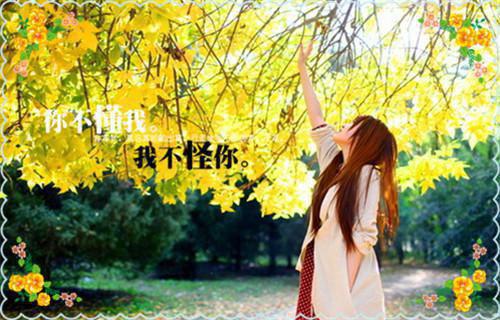 沈心薇林轩全文免费大结局 沈心薇林轩小说在线阅读