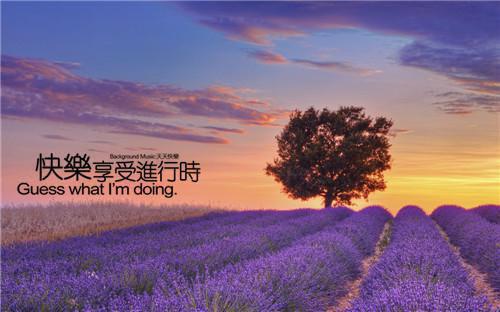 挺孕肚去下放，资本小姐又立功了(结局) 林月舒陆怀南免费阅读全文