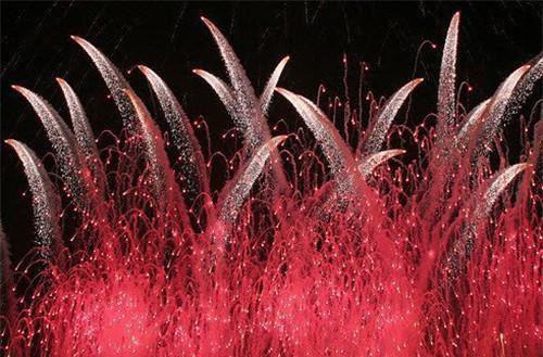 霍云驰傅清璃免费小说 霍云驰傅清璃全文阅读目录