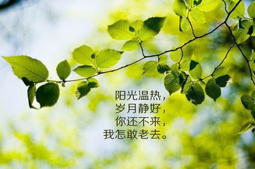 温栀闻淮川(完整版)全文免费阅读温栀闻淮川小说