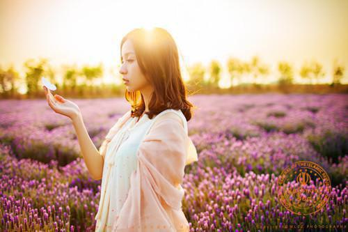 顾总！您的高学历保姆已揣崽跑路在线阅读 苏半夏顾辰泽小说