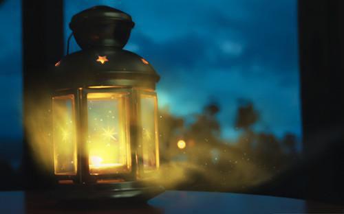 陆知行南桑宁是啥小说 陆知行南桑宁免费阅读无广告