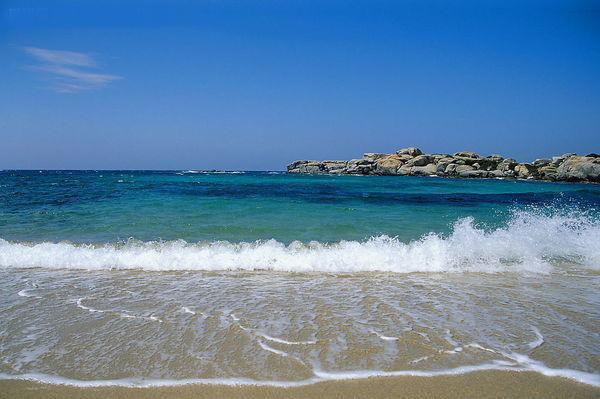 沈十安蒋时序小说全免读 沈十安蒋时序第9章在线阅读