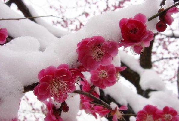 沈长颐林婉萧璟馆免费章节最新 他们之间的爱已经不干净了by佚名