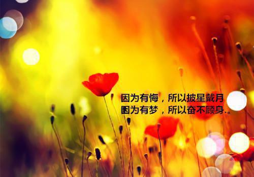 林颜林欣怡大结局免费阅读 林颜林欣怡全文小说