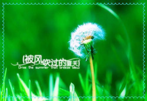 谢凝姜雨雁柯翊的小说 穿成反派出国五年的白月光后小说免费阅读