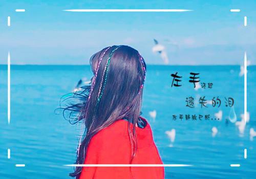 不见寒月独见雪虞舟雪沈沼虞白玥全文免费阅读(已完结)
