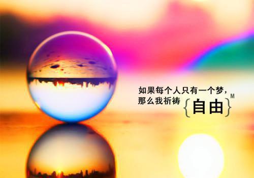 主角陈夏周礼小说 陈夏周礼小说全文免费阅读