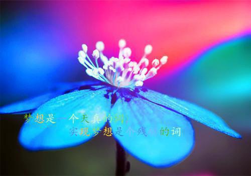 顾安安周天麒免费小说 顾安安周天麒全文阅读目录